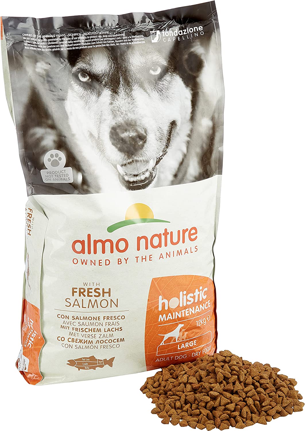 Almo Nature Holistic Maintenance Dry Food for Large Adult Dogs - Salmon - 12kg