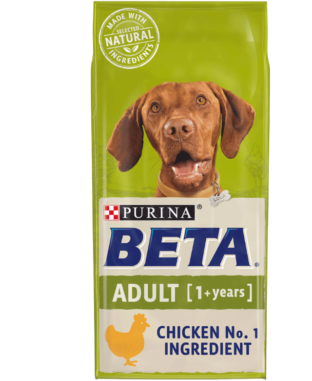 Beta Chicken & Rice Kibble for Adult Dogs