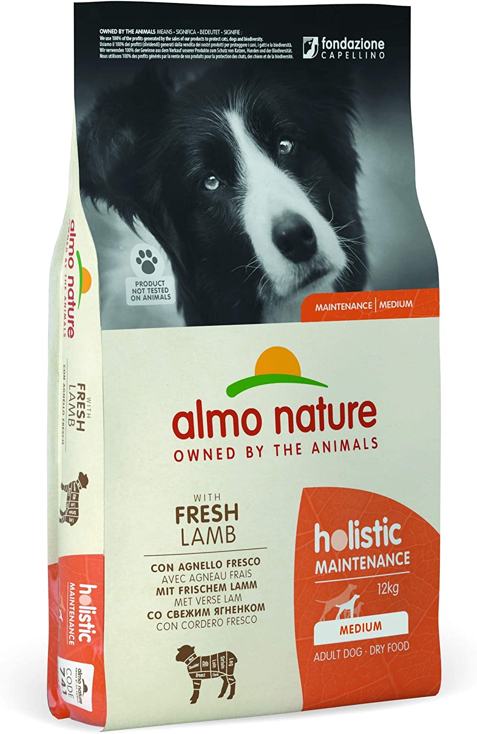 Almo Nature Holistic?Maintenance?Dry Food for Medium Adult Dogs -?Lamb And Rice - 12kg