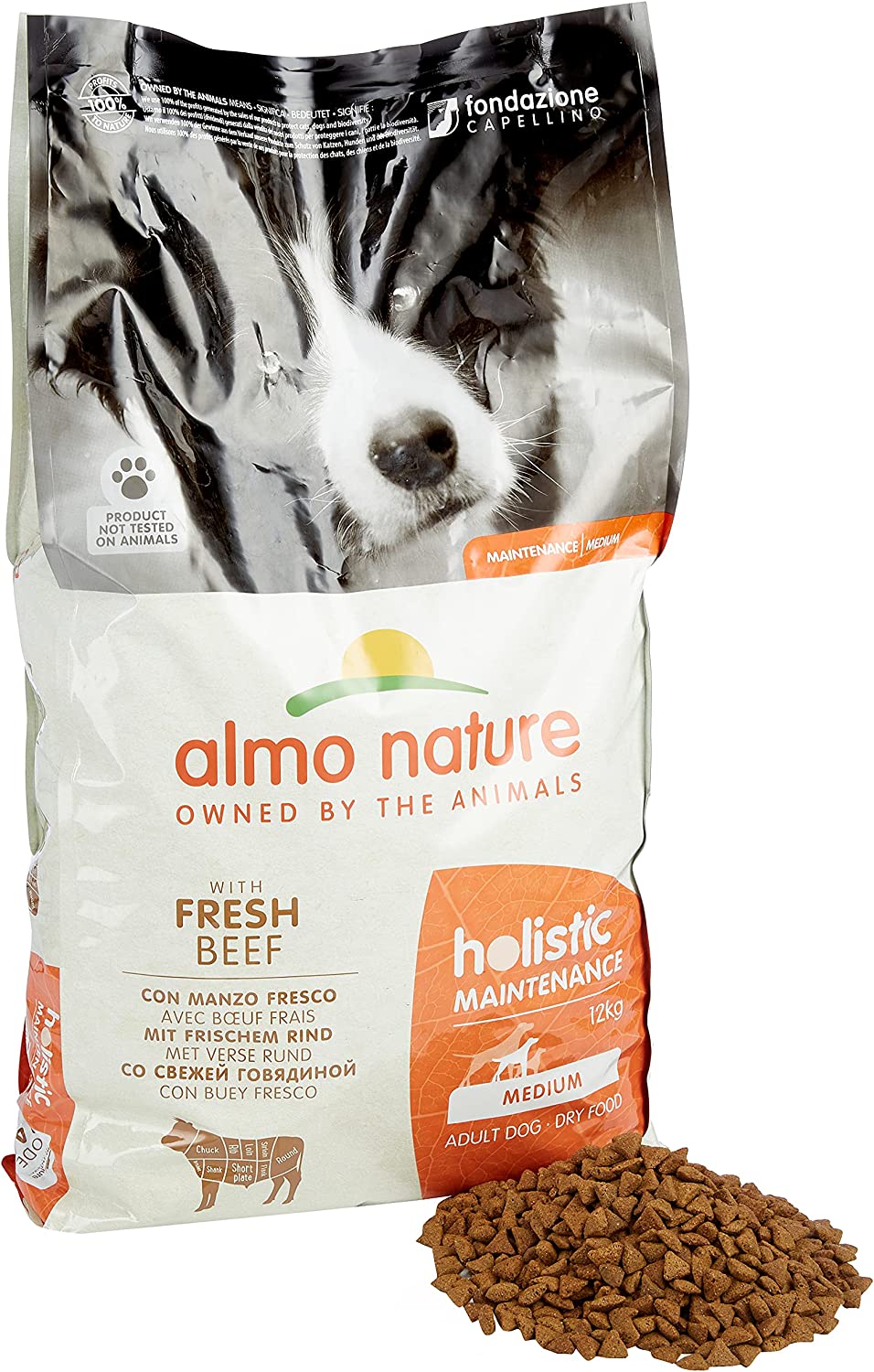 Almo Nature Holistic?Maintenance?Dry Food for Medium Adult Dogs -?Beef- 12kg