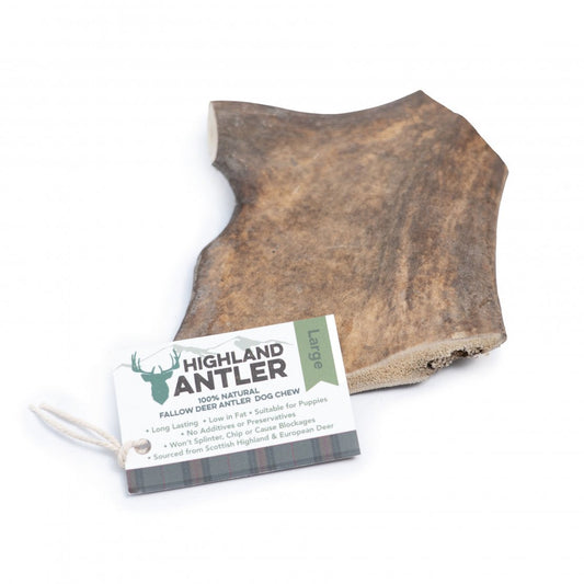 Antos Fallow Antlers for Dogs